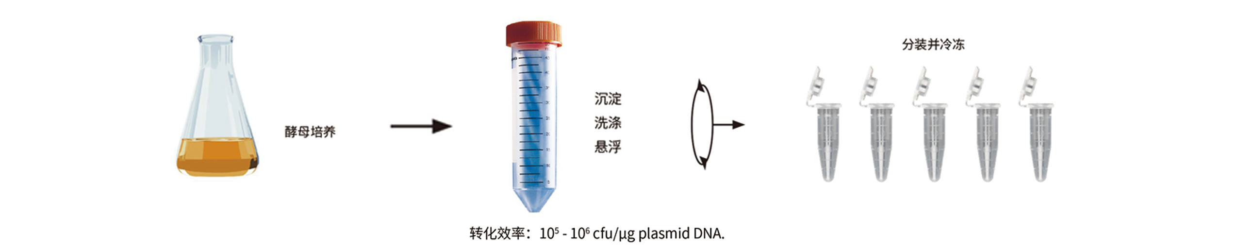 優(yōu)享價酵母買贈.png